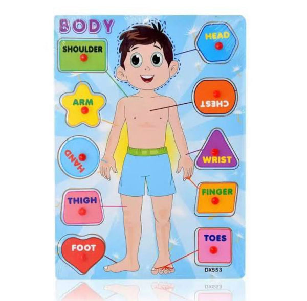 Parts of Body Board